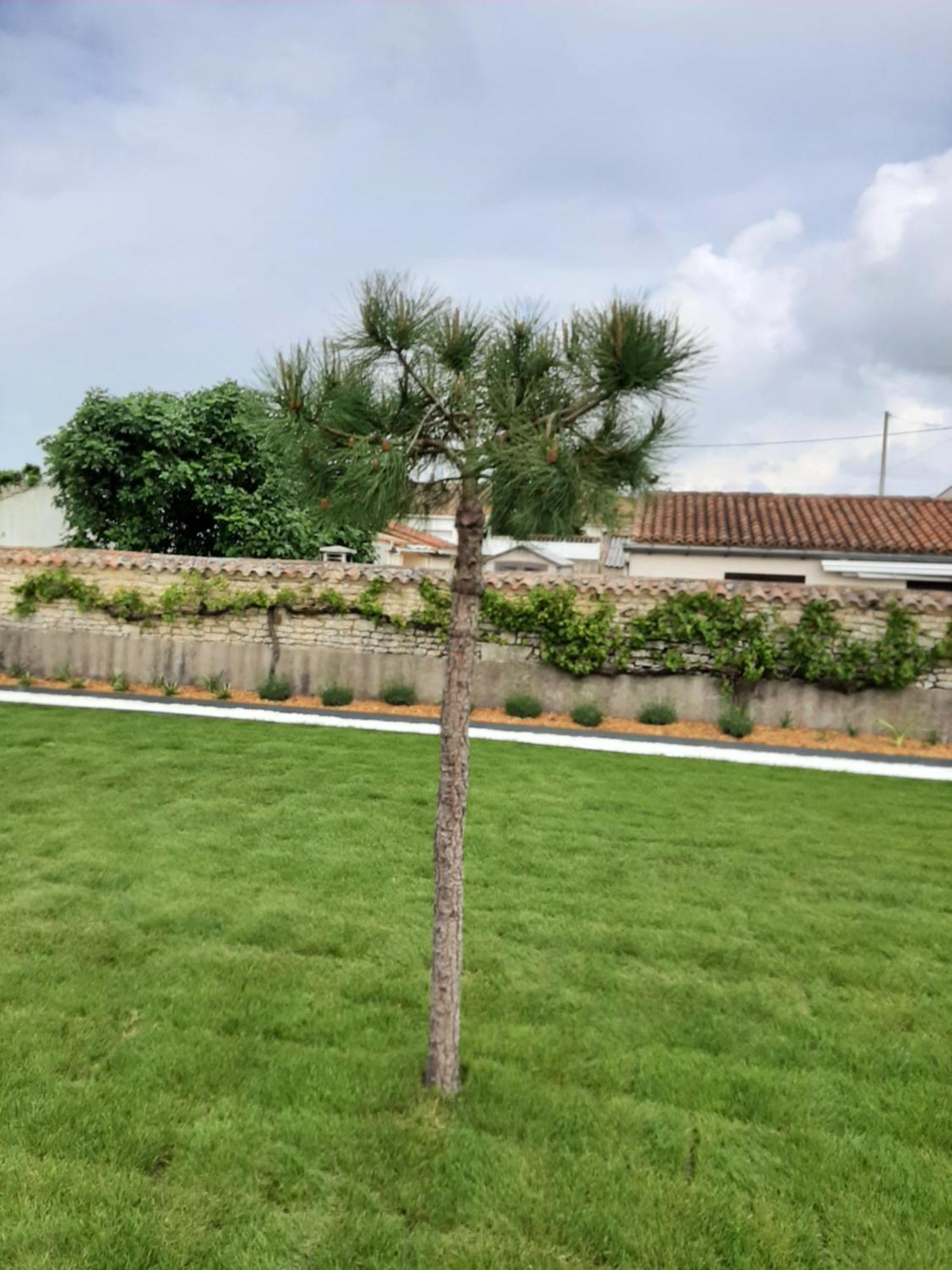 Le Lysblanc LʼAiguillon-sur-Mer Exterior foto